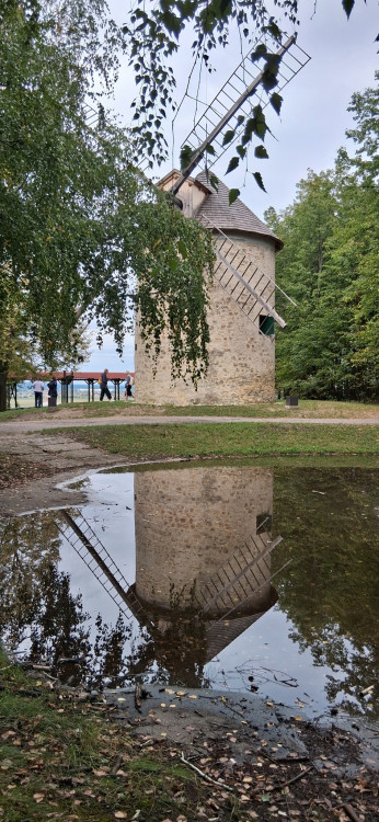 Trošku Holandska