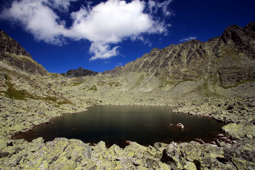 Wahlenbergovo pleso