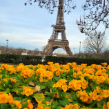 Paríž
