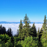 Ranná inverzia