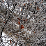 My sa zime nepoddáme.