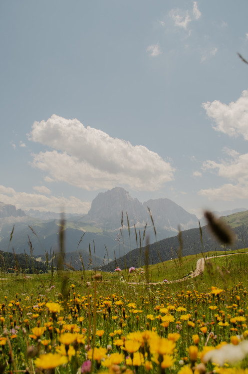 Farebné Dolomity