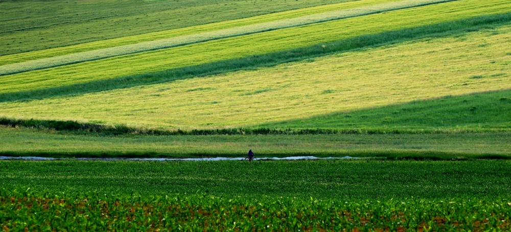 Zelená krajina.