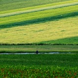 Zelená krajina.