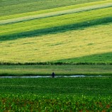 Zelená krajina.