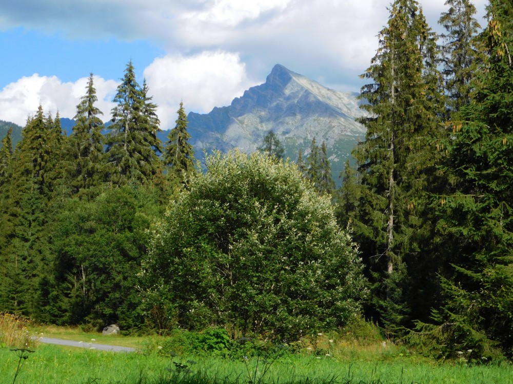 Symbol Slovenska - Kriváň / Podbanské, Vysoké Tatry