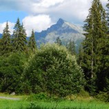 Symbol Slovenska - Kriváň / Podbanské, Vysoké Tatry