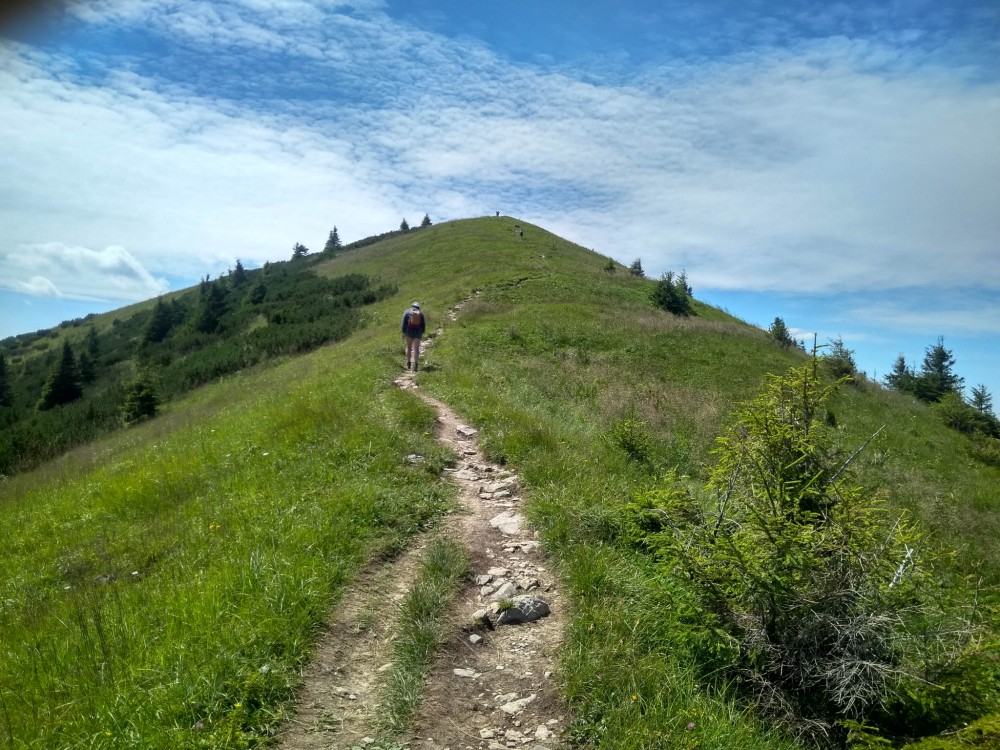 Veľká Fatra (SK), up to Rakytov