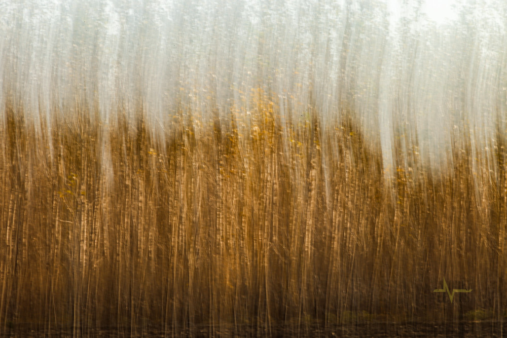 Odchádzajúca jeseň