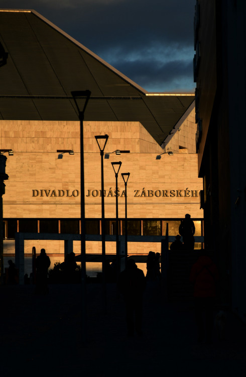 Kultúra na výslní, obecenstvo v tieni