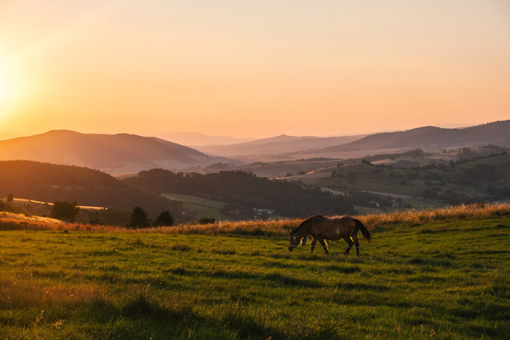 Podpoľanie z korytárskych vrchov