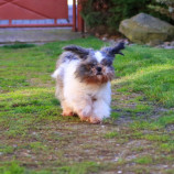 i believe i can fly