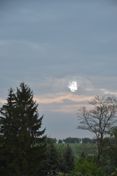 UFO medzi stromami