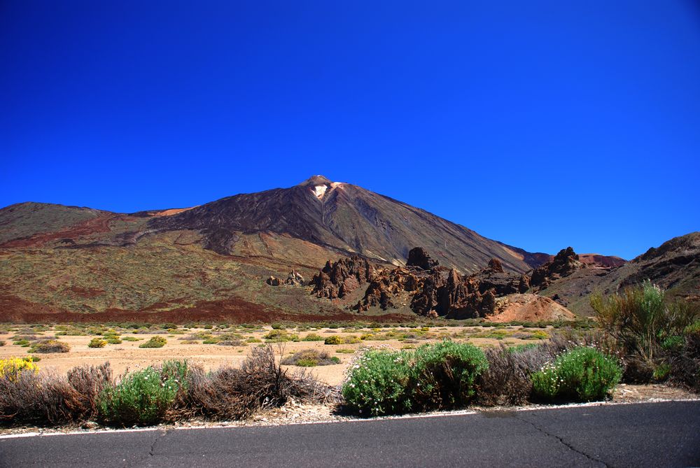 Nacional parque Teide (Isla Canarias)