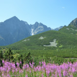 Tatry v strede letného dňa