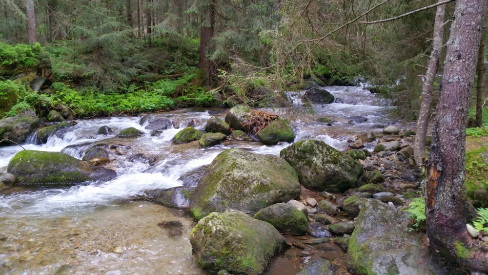 Nízke Tatry