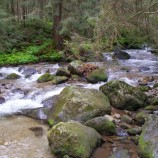 Nízke Tatry