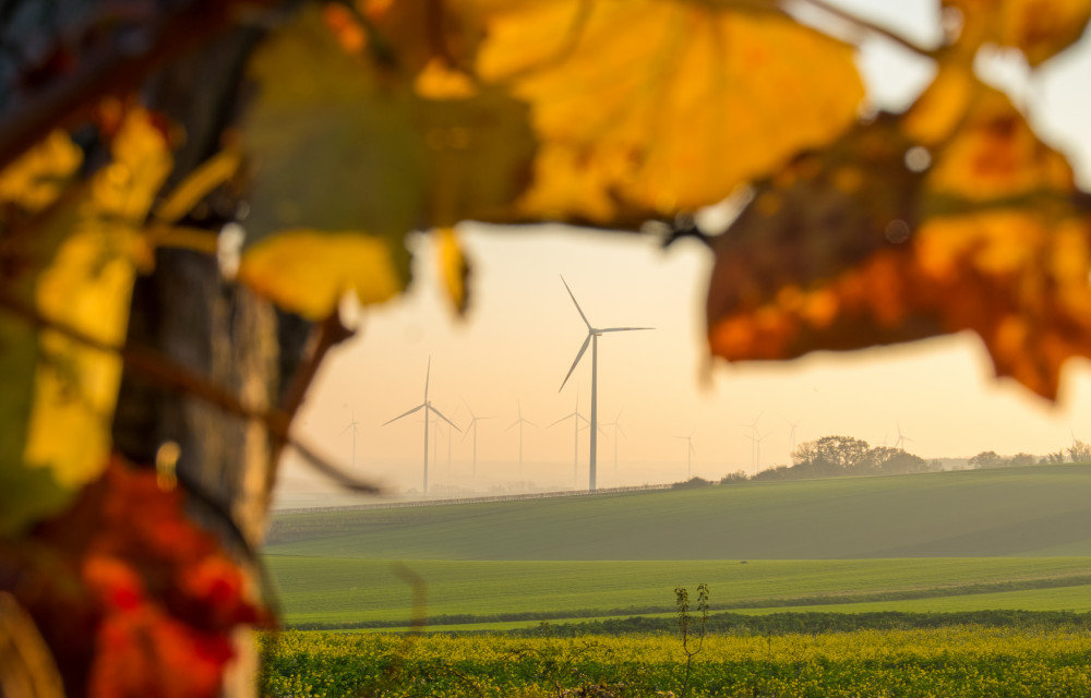 Na zdravie ustupuje zdravej energii