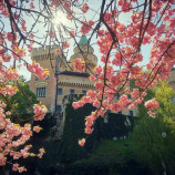 Spring - Bojnice