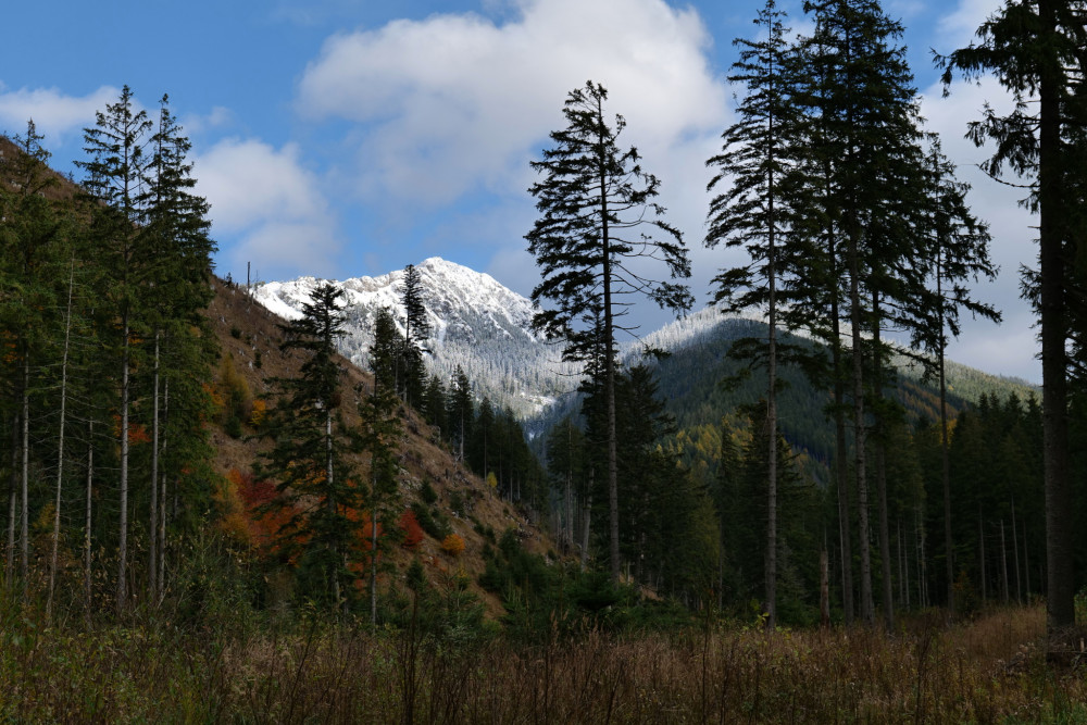 zima prichadza na Osobitú