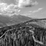 Bachledova dolina z cyklu Vysoké Tatry