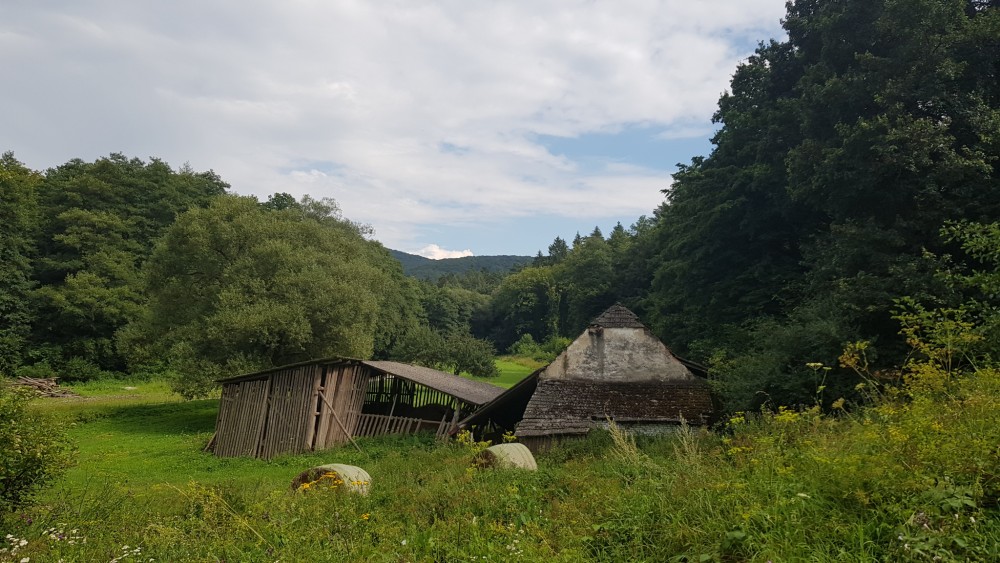 Pri koňoch v Hôrčanskej doline