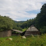 Pri koňoch v Hôrčanskej doline