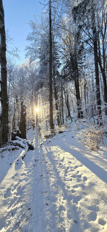 Očarujúci zimná príroda