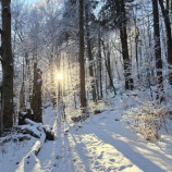 Očarujúci zimná príroda