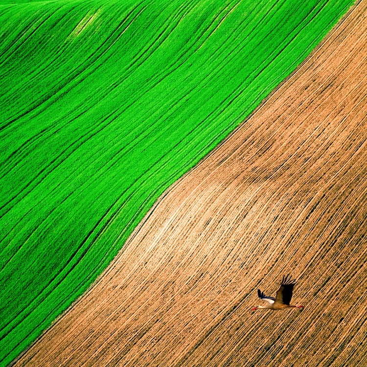 diagonála letu