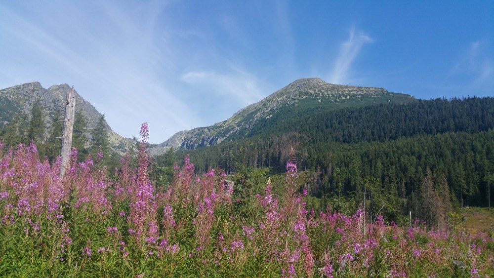 Vysoké Tatry