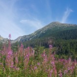 Vysoké Tatry