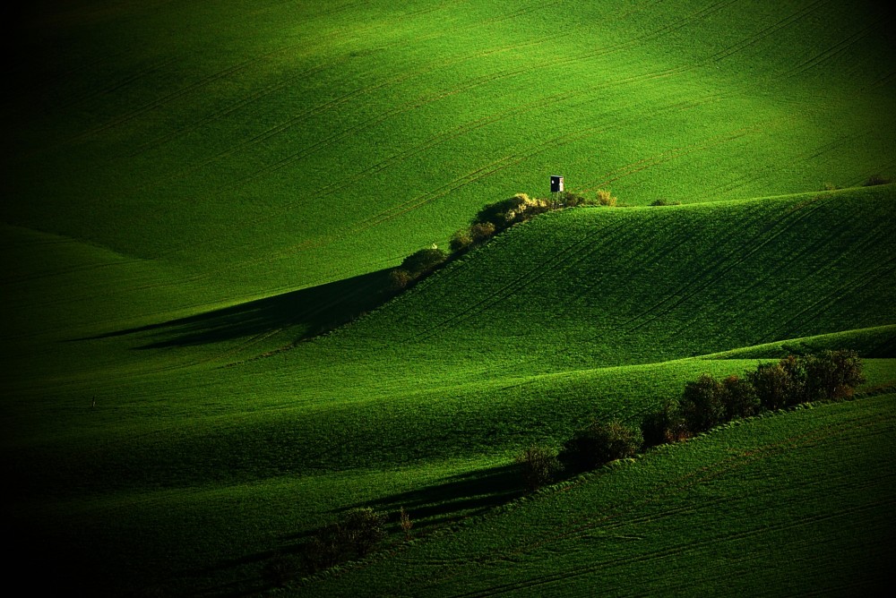 Prvé lúče, Morava