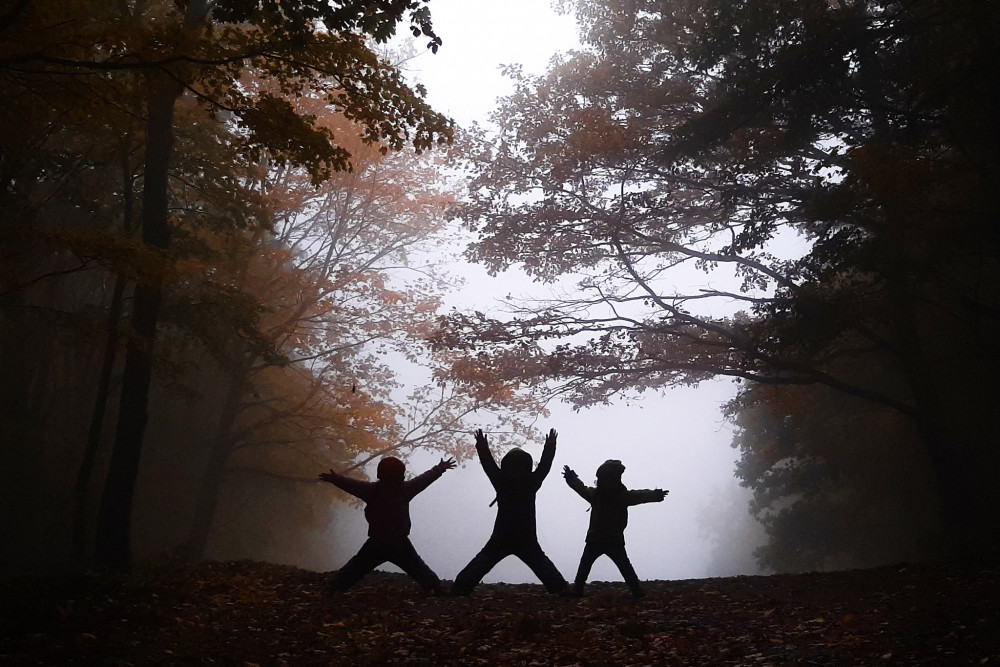 Traja lesní škriatkovia