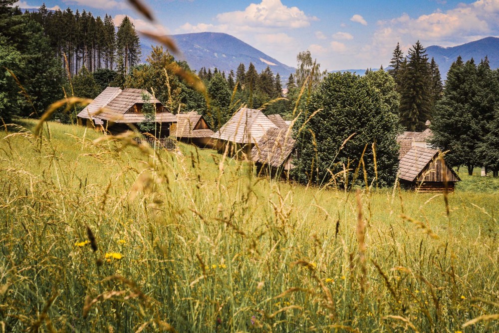 Martinský skanzen cez steblá