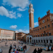 SIENA