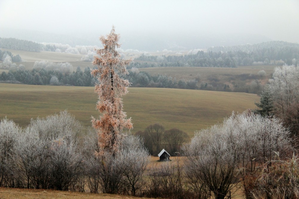 Kolibka na Strelníkoch