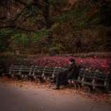 Autumn Solitude in Central Park