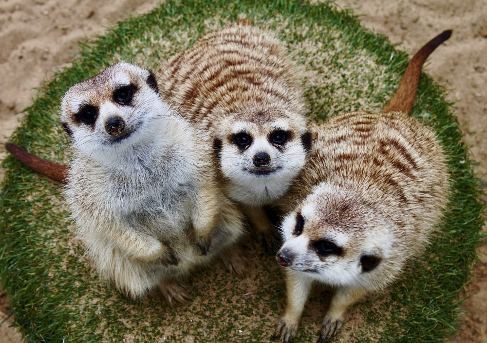 ZOO- Bojnice