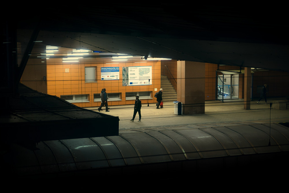 Každý svojou cestou