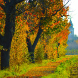 Chodec v zlatej aleji