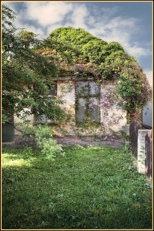 V zelenom kabátiku (leto)