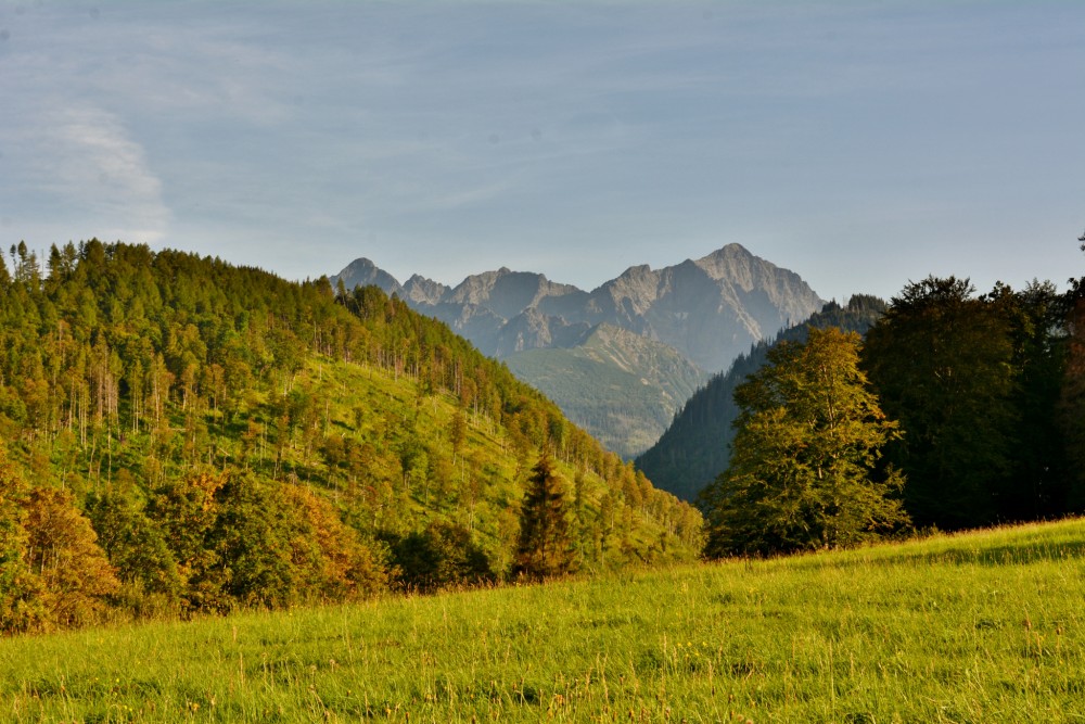 Tatranská Javorina