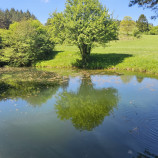 Zrkadlenie