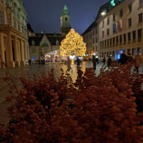 Kúzlo vianočnej výzdoby