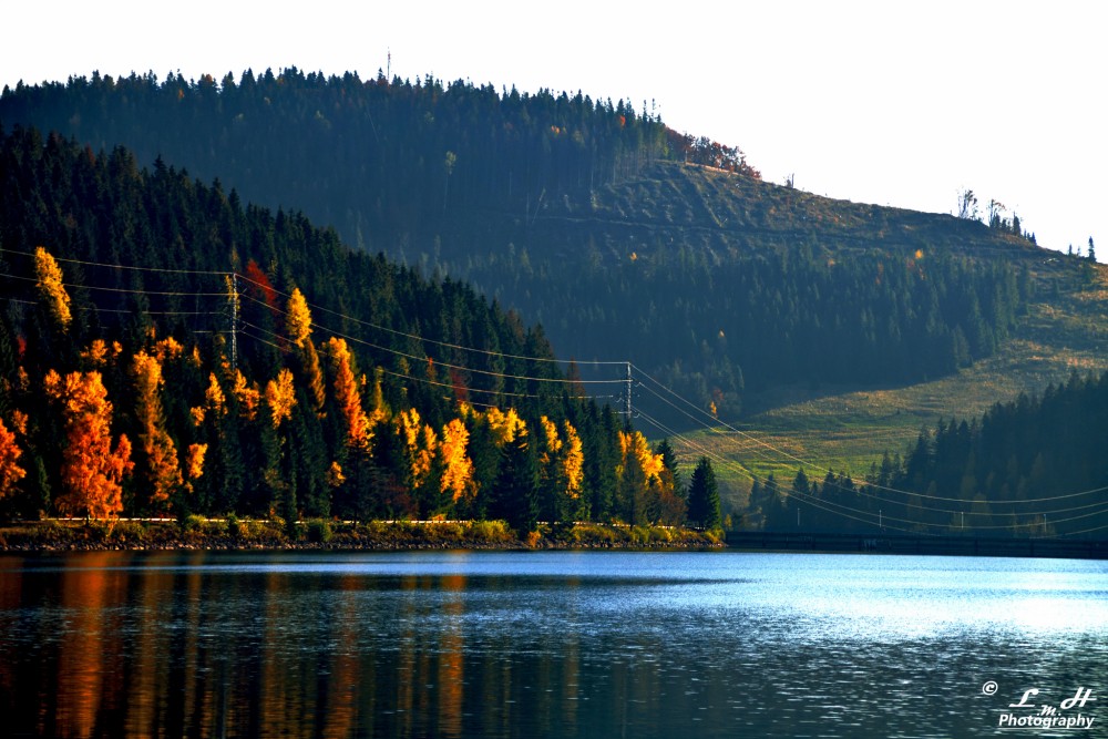jeseň 2015