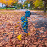 V jesennom lístí ...