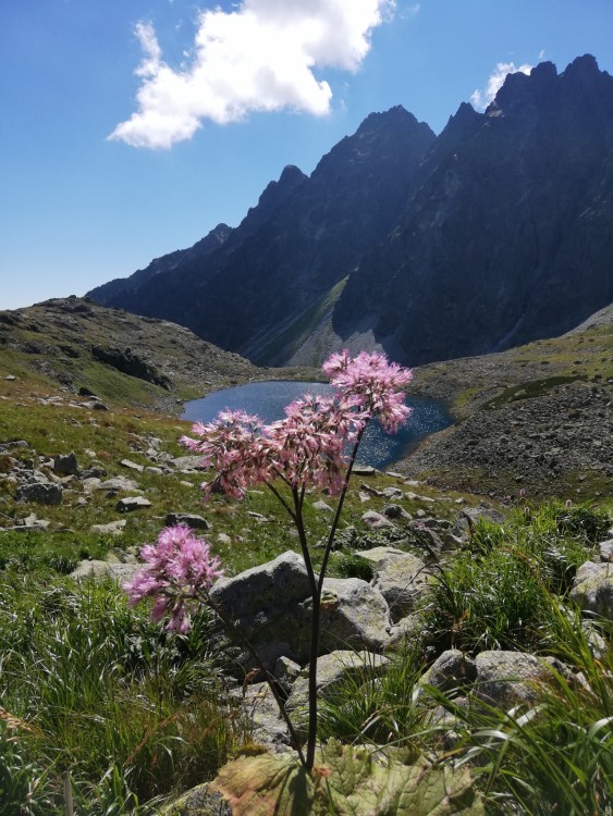 Hincové pleso, Vysoké Tatry