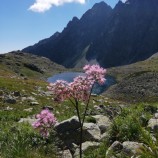 Hincové pleso, Vysoké Tatry