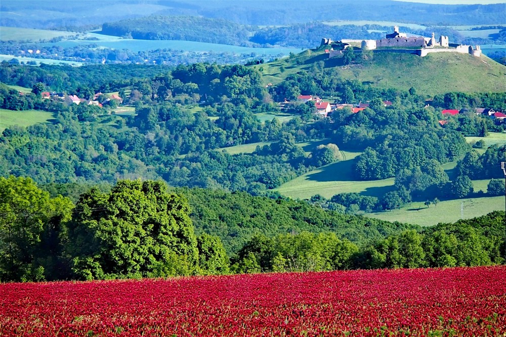 Hrad Branč